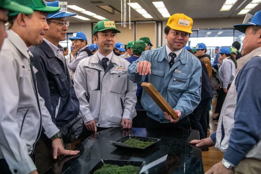 Japanese Green Tea Leaves Sell For RecordBreaking…