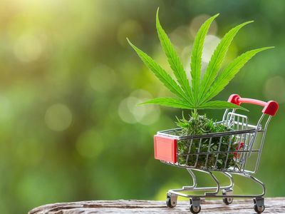 With Strong Sales History And Pandemic Restrictions Waning, Cannabis Leaders Discuss 4/20 Market Expectations