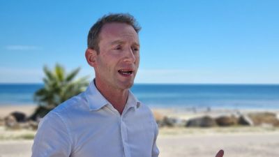SA Liberals elect former environment minister David Speirs as new party leader