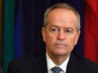 Labor pledges sweeping NDIS review