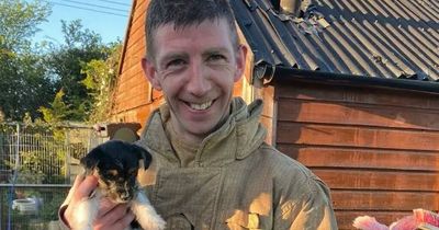 Dublin Fire Brigade firefighter adopts pooch after dog shelter blaze