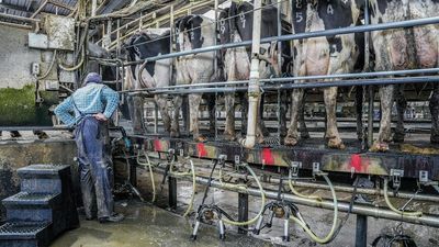 Federal government loan guarantee scheme to help farmers forced out of the market by soaring values