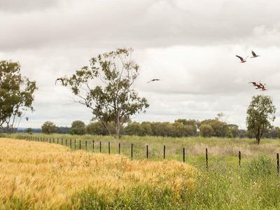 $75 million coalition pledge for farmers