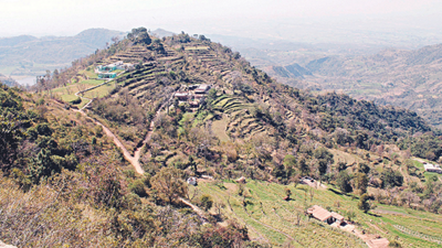 Punjab and Haryana HC seeks report on steps taken to protect forest, wildlife in Morni