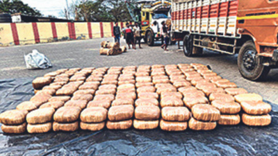 Visakhapatnam: DRI sleuths seize 1,169 kg ganja in Anakapalle district