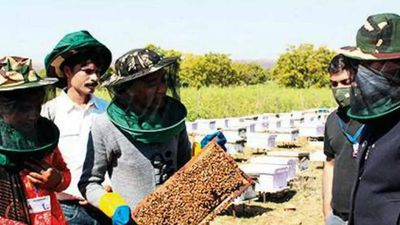 Plan Bee: A silent revolution that is changing lives of women in Jhalawar