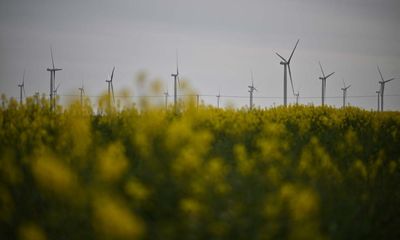 Use England’s plentiful brownfield sites for windfarms, urge scientists