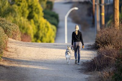 Poll: 45% Of Dog Owners Believe Their Pet Is In Better Shape Than They Are