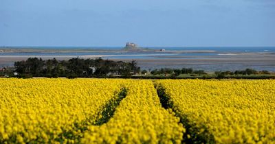 Hour by hour weather forecast as Met Office predicts sunny Tuesday