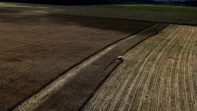 ‘Destructive hunger’: South America’s farmers seek to head off global food crisis