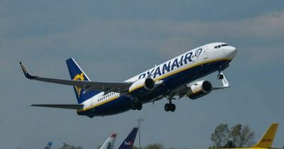 Ryanair passengers tell of 'almighty shuddering' as flight forced to do 'emergency stop'