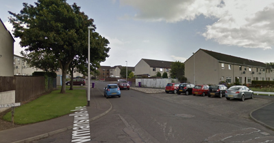 Car vandals hunted by police after Montrose wrecking spree