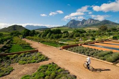 Babylonstoren review: A taste of paradise in the heart of South Africa’s winelands