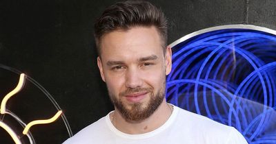 Liam Payne blames 'bizarre' Oscars accent incident on 'too many drinks'