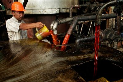 Indonesia launches corruption case over palm oil exports