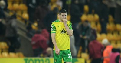 Norwich City injury concern as boss 'little worried' over star after suspected bone break