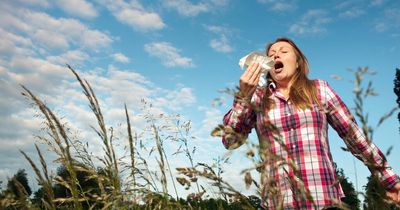 Glasgow weather as Met Office issues pollen warning for hay fever sufferers