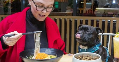 Japanese restaurant launches menu for dogs with beef spaghetti and duck from £2.20