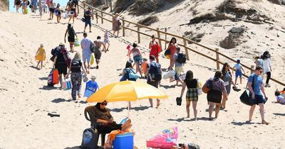 Busy beach evacuated as army called over 'suspicious object'