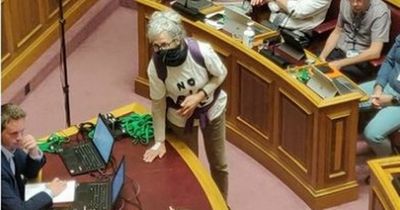 Grannies glue themselves to table in protest during nuclear power debate