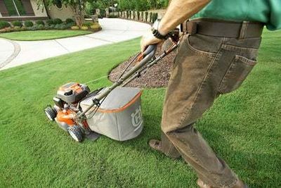 Buried lawnmower part mistaken for WWII bomb sparks police operation in Dulwich