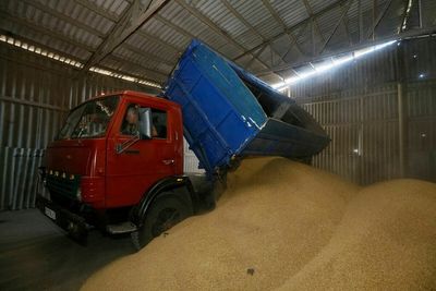 Ukraine grain storage shortage adds to farmers' woes