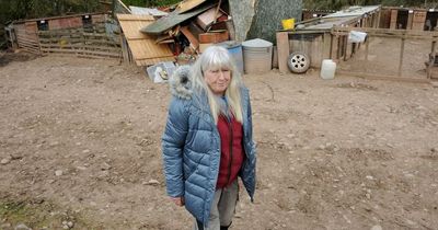 Dumfries and Galloway family's six-year 'hellish' battle to evict squatter who refused to leave land