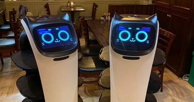 Pub hires two robot waiters as revellers describe new additions as 'brilliant idea'