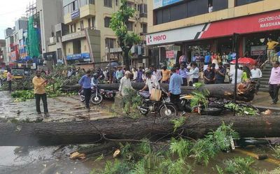 Man killed as tree falls in heavy rain
