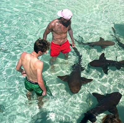 David Beckham and son Cruz swim with sharks on Bahamas holiday