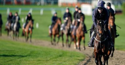 Wednesday racing tips: Gordon Elliott-trained chaser gets Nap vote from Newsboy at Perth