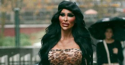 Australia's Katie Price slips into skimpy outfit as she vows to break into reality TV