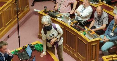 Pensioners glue themselves to table in eco-protest during council meeting