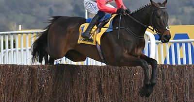 Allaho more likely to run in Punchestown Gold Cup than drop for Champion Chase next year