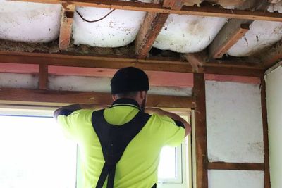 Hold firm on timing of tougher home insulation rules, Govt urged