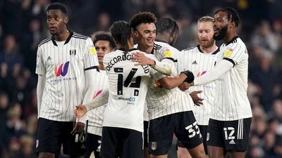 Fulham Returns to Premier League After Clinching Promotion