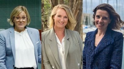 Who are the 'teal independents'? Your questions answered about the candidates fighting for some of Australia's wealthiest electorates