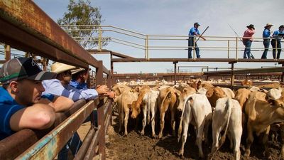 Buy now, pay later businesses popping up in agriculture industry