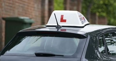 No instructor needed for driving lessons, says General Motors