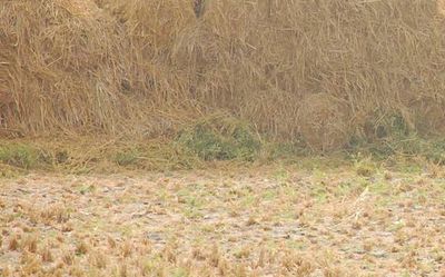 Telangana latest news developments today