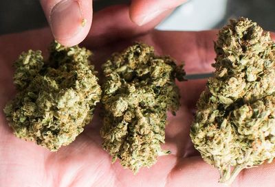 Legal weed sales begin in New Jersey: Everything you need to know