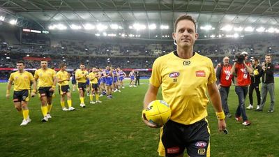 Former AFL umpire Shane McInerney says player dissent is not 'innocent' and is aimed at undermining officials