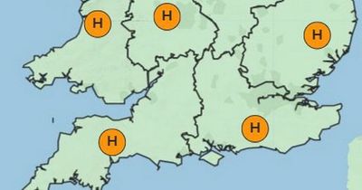 Hayfever hell as Met Office predicts five days high pollen for Bristol