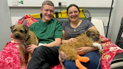 Miracle Dog Survives Almost Two Weeks Trapped Down Badger Den After Owner Refused To Give Up Hope