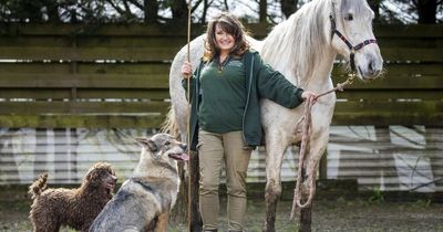 Scots mum who worked with Gerard Butler trains pets to star in blockbuster movies