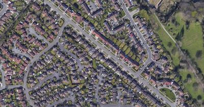 Man arrested after Ford Focus ploughs into street light