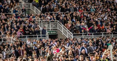 Irish Grand National atmosphere hailed 'best ever seen' as brilliant video emerges