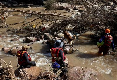 African wildlife, coasts suffer effects of flooding, drought