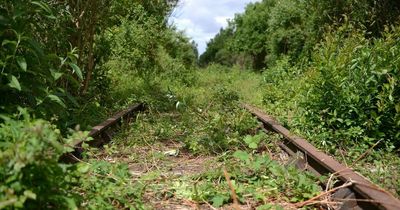 'Disappointment' at delay to Portishead railway line project