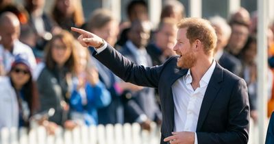 Prince Harry says he will 'make sure the Queen is protected'